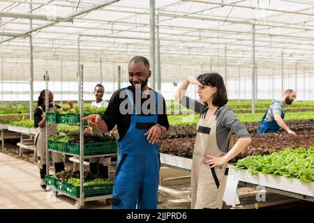 Une femme caucasienne travaillant en serre ombre les yeux avec la main tout en parlant avec un homme afro-américain pointant dans une ferme de laitue biologique. Des personnes diverses qui font une pause dans la culture de légumes biologiques. Banque D'Images