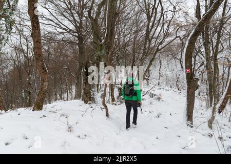 Un homme dans une tenue de randonnée dans les bois enneigés Banque D'Images