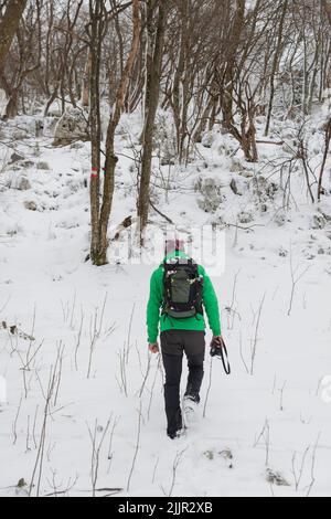 Une photo verticale d'un homme dans une tenue de randonnée dans les bois enneigés Banque D'Images