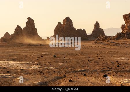 Troupeau de moutons avec leur berger entre les cheminées calcaires volcaniques du lac Abbe aka Lac Abhe Bad, près de la frontière entre Djibouti et l'Éthiopie Banque D'Images