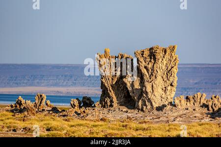 Skulpture de roche sculptée par le vent et l'environnement au lac Abbe aka Lac Abbe Bad à la frontière entre l'Éthiopie et Djibouti Banque D'Images