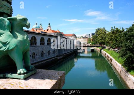 Paysage urbain de la capitale slovène Ljubljana depuis le pont Dragon au-dessus de la rivière Ljubljana. Banque D'Images