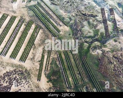 Les lits d'huîtres ont révélé à marée basse sur la côte ouest de l'île Herm. Vue aérienne Banque D'Images