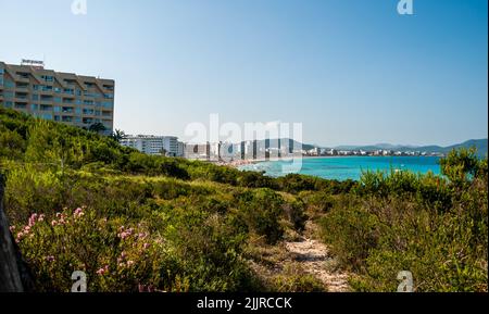 Un chemin étroit à travers des plantes vertes luxuriantes menant à la plage de Majorque, Espagne Banque D'Images