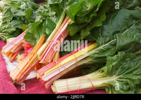 Un gros plan de liasses de feuilles de Chard suisse Banque D'Images