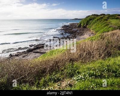 Hill 60 Park, Fishermans Rocks et Five Islands nature Reserve's Big Island, Port Kembla Banque D'Images