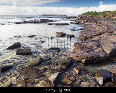 Hill 60 Park, Fishermans Rocks et Five Islands nature Reserve's Big Island, Port Kembla Banque D'Images