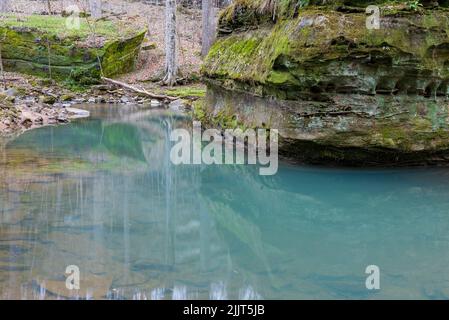 Vue naturelle sur un ruisseau dans la forêt nationale de Shawnee, Illinois, États-Unis Banque D'Images