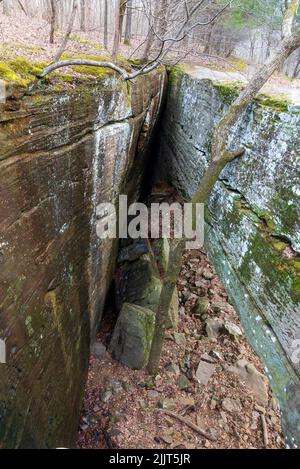 Plan vertical d'un ruisseau séché dans la forêt nationale de Shawnee, Illinois, États-Unis Banque D'Images