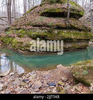 Plan vertical d'un ruisseau dans la forêt nationale de Shawnee, Illinois, États-Unis Banque D'Images