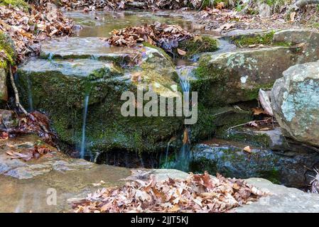 Vue naturelle sur un ruisseau dans la forêt nationale de Shawnee, Illinois, États-Unis Banque D'Images