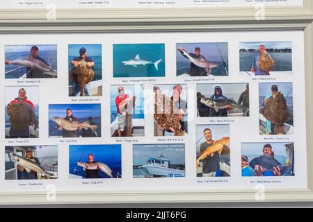 Angleterre, Dorset, Poole, Poole Harbour, Fishermen's café, Plaque murale avec photographies de pêcheurs avec prises record Banque D'Images