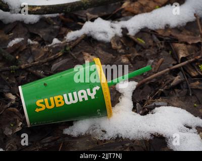 Un cliché sélectif d'une tasse en plastique de métro avec une paille au sol dans une forêt Banque D'Images