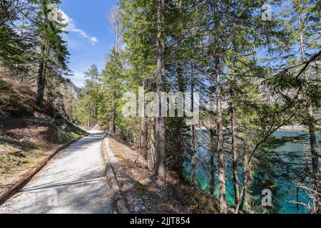 Sentier de randonnée autour des eaux émeraudes fascinantes du parc national du joyau d'Adamello Brenta - Lago di Tovel, ville d'Anaunia, Trentin, Italie Banque D'Images