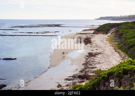 La côte sauvage mais magnifique du sanctuaire marin de Mushroom Reef - Flinders, Victoria, Australie Banque D'Images