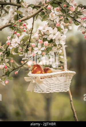 Une belle photo d'oeufs de Pâques dans un panier suspendu sur un arbre en fleur Banque D'Images