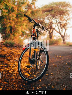 Le vélo est debout sur une route vide dans un parc d'automne, parmi les arbres à feuilles caduques colorées avec des feuilles dorées, orange et jaunes. Banque D'Images