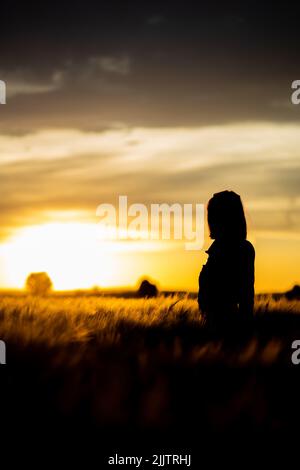 Un cliché vertical de la silhouette de la fille debout dans le champ contre le coucher du soleil. Banque D'Images