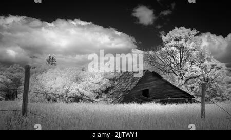 Vue panoramique d'une ancienne ferme en bois brisée dans un champ d'arbres sous ciel nuageux en noir et blanc. Manitoba, Canada Banque D'Images