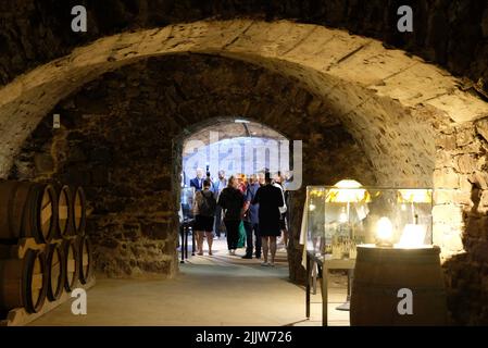 Leisnig, Allemagne. 28th juillet 2022. Vue sur la zone d'entrée d'une pièce d'échappement dans une voûte au château de Mildenstein. À partir de 29.07.2022, les visiteurs peuvent participer à l'aventure interactive. Credit: Sebastian Willnow/dpa/ZB/dpa/Alay Live News Banque D'Images