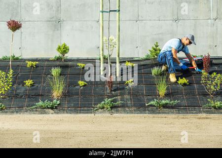 Travailleur caucasien professionnel de l'aménagement paysager et du jardinage dans son 40s installation d'irrigation goutte-à-goutte dans son jardin de clients Banque D'Images