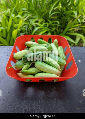 gourdes ivy fraîches et vertes placées sur un bol rouge pour le nettoyage avant la cuisson Banque D'Images