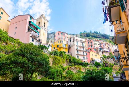 Manarola Riomaggiore, ville, province de La Spezia, Ligurie, Italie du nord. Vue sur les maisons colorées sur les collines environnantes et San Lorenzo bel défense Banque D'Images