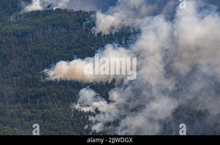 Schmilka, Allemagne. 28th juillet 2022. Vue depuis un hélicoptère de la police fédérale sur le parc national des feux de forêt Saxon Suisse. Crédit : Robert Michael/dpa/Alay Live News Banque D'Images