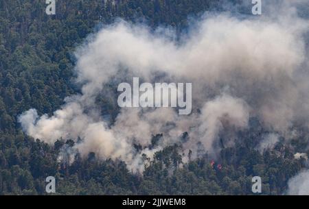 Schmilka, Allemagne. 28th juillet 2022. Vue depuis un hélicoptère de la police fédérale sur le parc national des feux de forêt Saxon Suisse. Crédit : Robert Michael/dpa/Alay Live News Banque D'Images