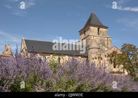 Église Saint-Pierre à Melle, France Banque D'Images