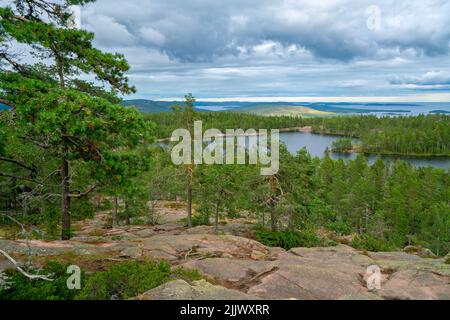 Vue sur la mer Baltique et le golfe de Bothnia depuis le sommet du rocher dans le parc national de Skuleskogen, Suède.Randonnée le long du sentier de la haute côte, Hoha Banque D'Images