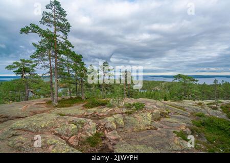 Vue sur la mer Baltique et le golfe de Bothnia depuis le sommet du rocher dans le parc national de Skuleskogen, Suède.Randonnée le long du sentier de la haute côte, Hoha Banque D'Images