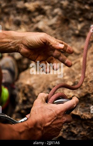 Écourté méconnaissable d'une femme sénior active avec des mains sales tenant la corde sur le harnais lors de la préparation à l'escalade Banque D'Images