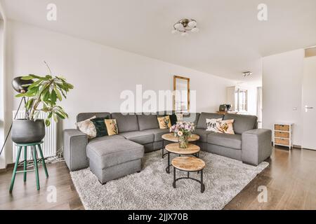 Canapé d'angle doux avec coussins dans un salon élégant dans un appartement lumineux moderne à la lumière du jour Banque D'Images