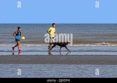 Jogging mâle et femelle sur une plage de sable avec un chien de plomb déchaîné/déchaîné le long de la côte de la mer du Nord en été Banque D'Images