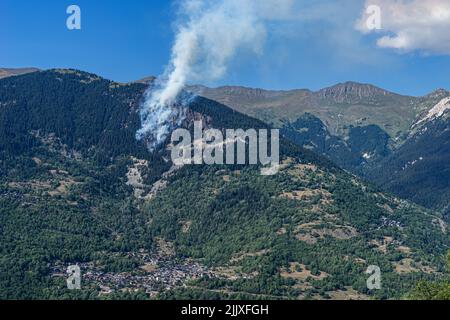 Fès de forêt à Villemartin, Savoie, 27 juillet 2022 Banque D'Images