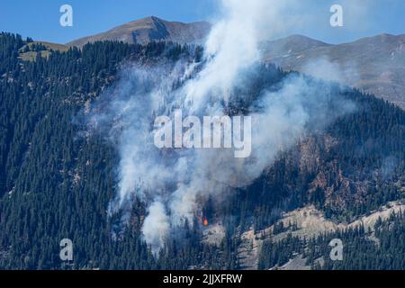 Fès de forêt à Villemartin, Savoie, 27 juillet 2022 Banque D'Images