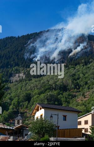 Fès de forêt à Villemartin, Savoie, 27 juillet 2022 Banque D'Images