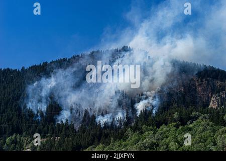 Fès de forêt à Villemartin, Savoie, 27 juillet 2022 Banque D'Images