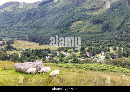 Camping camping-car Glen Nevis Caravan and motorhome au pied de Ben Nevis, la plus haute montagne des Britanniques, chaîne de montagnes des Grampians, Écosse, Royaume-Uni Banque D'Images