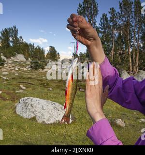 les femmes tiennent un omble de fontaine pris avec une leurres dans un lac de montagne Banque D'Images