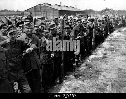 Speciman de la S.S. hollandaise, les 'Dutch' qui terrorisaient et assassinaient leur propre peuple pendant tant d'années au service de l'ennemi, sont maintenant mis en sécurité. Un camp spécial a été érigé, où ca. 4000 prisonniers SS néerlandais (gardes terrestres, esturn, Viking, Germania, police verte néerlandaise, etc) attendre leur jugement. 01 juin 1945. (Photo de Willem Van de Poll, Anefo). Banque D'Images