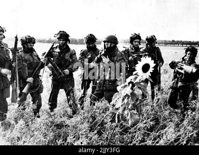 Photo de la première action des forces britanniques d'Airbourne en Hollande -- les troupes britanniques de Glider-bourne vont en action après l'atterrissage. Quand le 1st., allié le 1st. L'armée Allied Airbourne a été abandonnée en Hollande, les photographes de l'unité de film et de photographie de l'Armée étaient avec eux. Il s'agit de l'une des premières photos reçues. Un des photographes écrit dans une lettre datée du 20th septembre., « c'est le quatrième jour si la lutte contre un travail d'appareil photo est presque de la question. Toute la journée, nous avons été sous le feu de obus, de mortes et de machines. 04 décembre 1944. (Photo par British Official Photograph). Banque D'Images