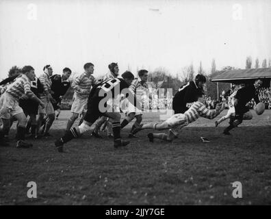 All Blacks at Cambridge -- T. C. Pearson (Cambridge University) élimine le ballon avant d'être attaqué par R. A. White (All Blacks) pendant leur match à Cambridge aujourd'hui. 04 novembre 1953. Banque D'Images