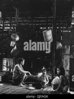 Land Dayaks de Bornéo - l'intérieur des chambres à la maison dans la maison longue. Au-dessus de la cheminée est empilé bambou sec pour le bois de chauffage, et sur le côté un paquet de maïs est suspendu pour sécher. Le sol de la pièce est de lamelles de bambou, par lesquelles les déchets peuvent être déposés au sol à quinze pieds en dessous. Là, il sera mangé par les porcs. Les Diaks primitifs mettent leurs déchets dans les lamelles de bambou pour les porcs. 8 mars 1952. (Photo de W.R. Geddes, presse pour appareil photo). Banque D'Images