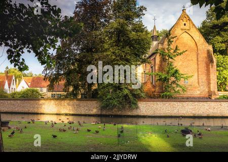 Canards se reposant près du Béguinage et d'un canal idyllique, Bruges, Belgique Banque D'Images