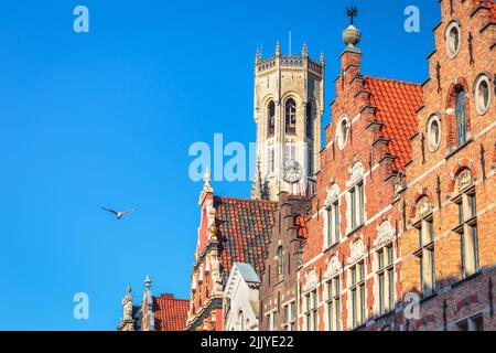 Pigeon survolant la place du marché de Bruges, architecture flamande Banque D'Images