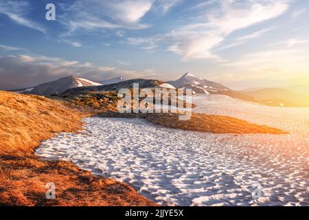Vue sur les collines herbeuses avec des chaussettes orange et des montagnes enneigées en arrière-plan. Scène de printemps spectaculaire. Photographie de paysage Banque D'Images