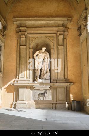 Sculpture de cour dans le Pitti place Florence Italie Banque D'Images