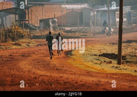 Entraînement matinal. Au Kenya. Les coureurs de marathon en sol rouge s'entraînent à la lumière du soleil levant. Motivation à bouger. Course d'endurance, athlétique Banque D'Images